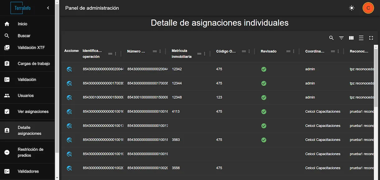 Detalle de asignaciones individuales en plataforma web